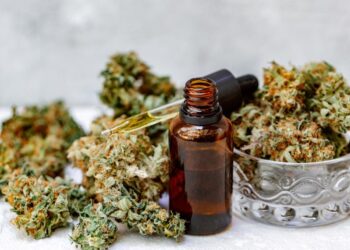 CannaTrust zertifiziert 13 HempCrew CBD Öle