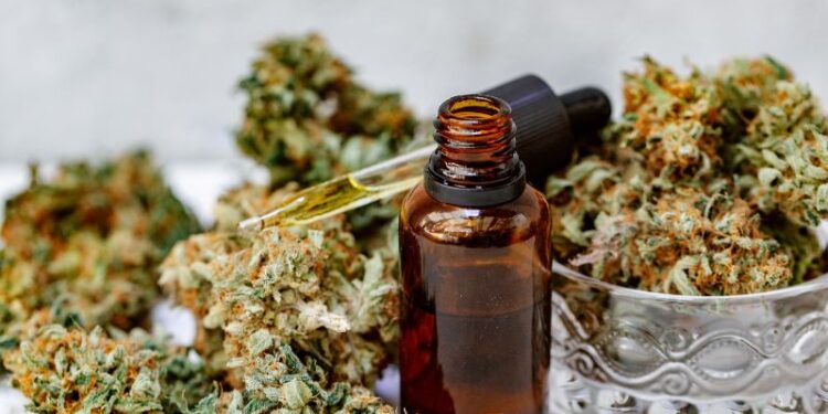 CannaTrust zertifiziert 13 HempCrew CBD Öle