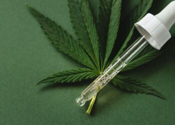 Neue Videoserie – Aufklärung zu CBD und Cannabis durch CannaTrust