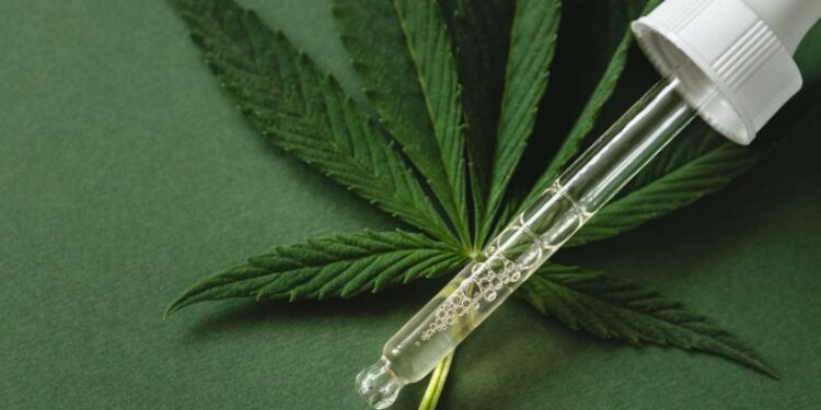 Neue Videoserie – Aufklärung zu CBD und Cannabis durch CannaTrust