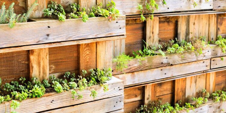 Agroforstwirtschaft mit Eichen und Hanf für mehr Artenvielfalt, Bewaldung und Bodenverbesserung