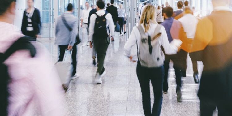 Cannabis Messe Ilsede