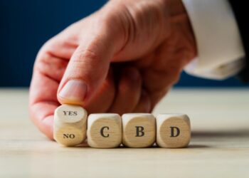 Der BGH gab bekannt, dass der Freispruch der Angeklagten im Fall der "Bunte Blüte UG" rechtsfehlerhaft sei.