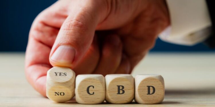 Der BGH gab bekannt, dass der Freispruch der Angeklagten im Fall der "Bunte Blüte UG" rechtsfehlerhaft sei.