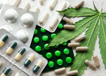 Cannamedical Pharma erweitert Produktsortiment um mehrere exklusive medizinische Cannabisblüten