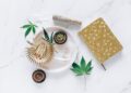 Von der Zelle zum System: Wie Cannabinoide unsere Körperprozesse beeinflussen