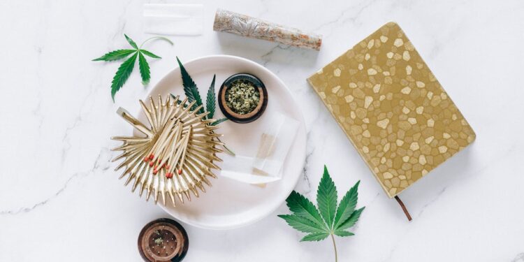 Von der Zelle zum System: Wie Cannabinoide unsere Körperprozesse beeinflussen