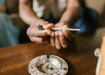 Der globale Cannabismarkt: Handelsabkommen und Exportregulierungen im Fokus