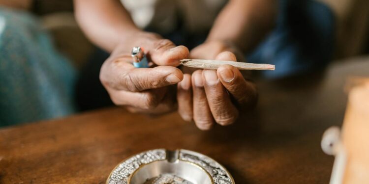 Der globale Cannabismarkt: Handelsabkommen und Exportregulierungen im Fokus