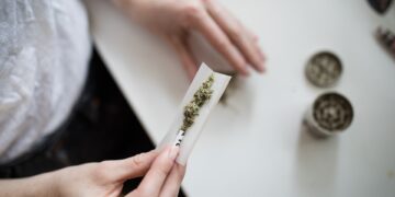 Cannabis und Krebs: Was die neuesten Studien über potenzielle Therapien sagen