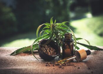 CBD im Fokus: Eine umfassende Erklärung von Cannabidiol und seinen Anwendungen