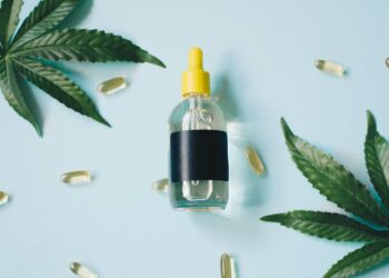 Zwischen Akzeptanz und Regulierung: Der aktuelle Stand von CBD und Hanf in der EU