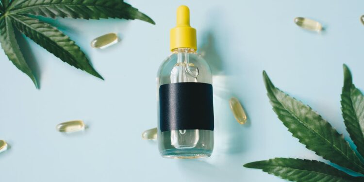 Zwischen Akzeptanz und Regulierung: Der aktuelle Stand von CBD und Hanf in der EU