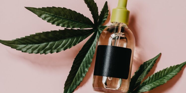 CBD und Hanf in Deutschland: Ein Leitfaden zur aktuellen Rechtslage