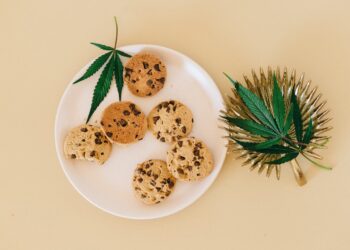 Von Schokolade bis Smoothies: Die Vielfalt der CBD-Lebensmittel auf dem Markt