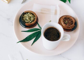 Von der Pflanze zur Tasse: Die traditionelle Zubereitung und moderne Variationen von Hanf Tee