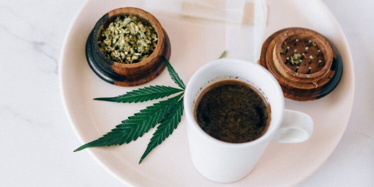 Von der Pflanze zur Tasse: Die traditionelle Zubereitung und moderne Variationen von Hanf Tee