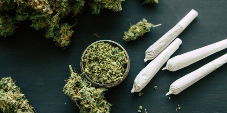 Die Hanf-App und Weed.de verkünden strategische Partnerschaft im Zuge der Cannabis-Legalisierung in Deutschland