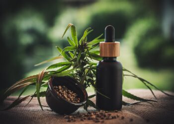CBD Start-ups: Wie White Label den Einstieg erleichtert