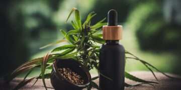 CBD Start-ups: Wie White Label den Einstieg erleichtert