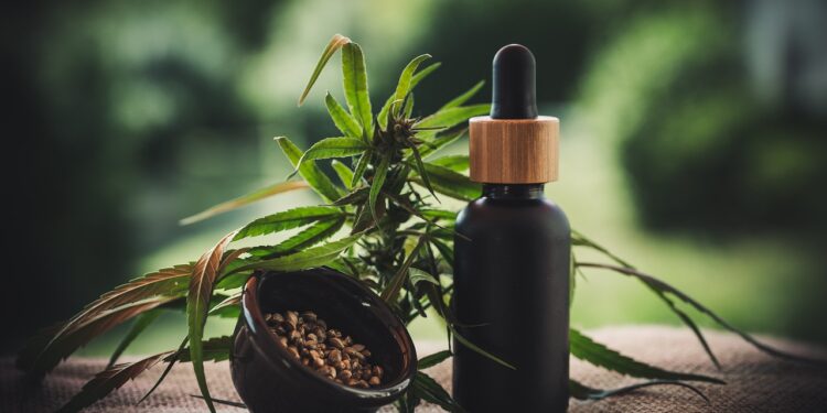CBD Start-ups: Wie White Label den Einstieg erleichtert