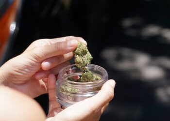 Fahrverbot abgewendet: Gerichtlicher Freispruch aufgrund neuer Cannabis-Regelungen