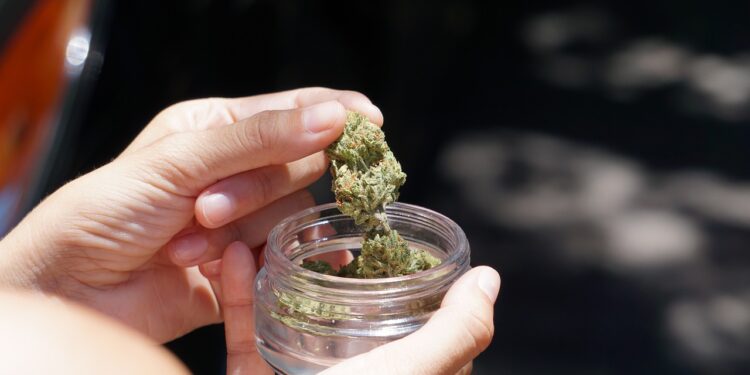 Fahrverbot abgewendet: Gerichtlicher Freispruch aufgrund neuer Cannabis-Regelungen