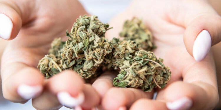 Synthetische Cannabinoide auf dem Vormarsch: Welche Gefahren lauern im Untergrundmarkt?