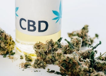 CBD vs. THC: Die entscheidenden Unterschiede in Wirkung, Wahrnehmung und Alltagstauglichkeit