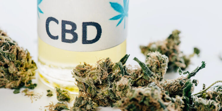 CBD vs. THC: Die entscheidenden Unterschiede in Wirkung, Wahrnehmung und Alltagstauglichkeit