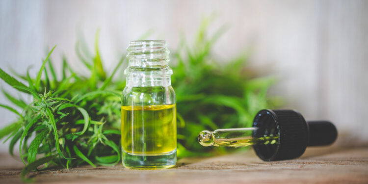 CBD-Produkttrends 2026: Neue Formulierungen, neue Routinen und harte Fragen zur Evidenz