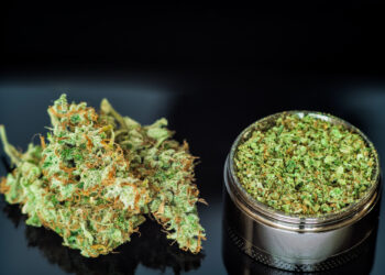 CBD-Blüten & Kräuter richtig vorbereiten: Qualität, Aroma und Hygiene – was wirklich zählt